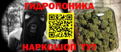 ешки Кингисепп