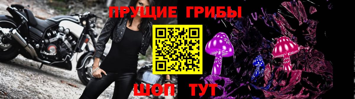 продажа наркотиков  Галлюциногенные грибы Psilocybe  Галлюциногенные грибы Cubensis  Вход с VPN  Щёлково 